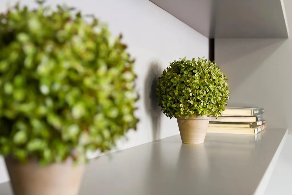 Santo Spirito Studio Flat Florence